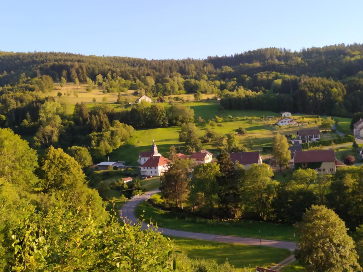 Bed and Breakfast La Mansarde Aux Digitales La Croix-aux-Mines Exterior foto